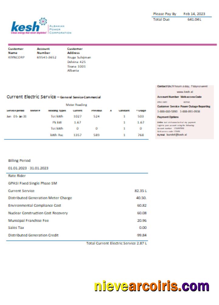 Albanian Power Corporation utility business bill